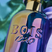 Bois 1920 Arte 1920 sfeer afbeelding