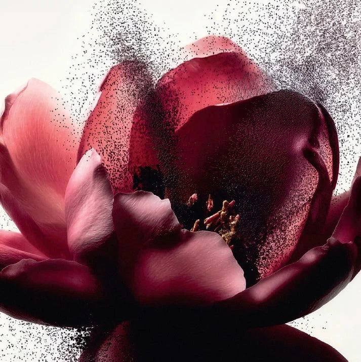 Eau de Parfum - Rose headspace